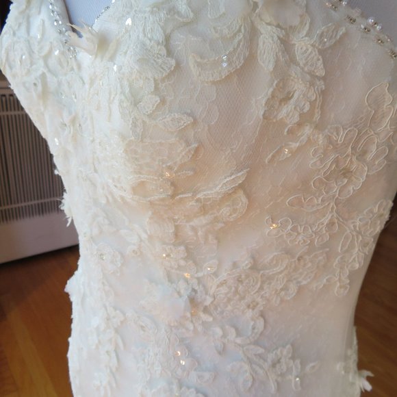 La Sposa by Pronovias Wedding Dress Rochelle - Picture 10 of 13